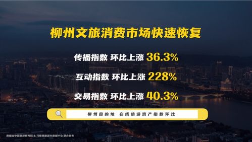 以智互聯(lián)看柳州 柳州市文化旅游互聯(lián)網(wǎng)推廣數(shù)據(jù)發(fā)布會成功舉辦 網(wǎng)絡(luò)文化經(jīng)營展新姿